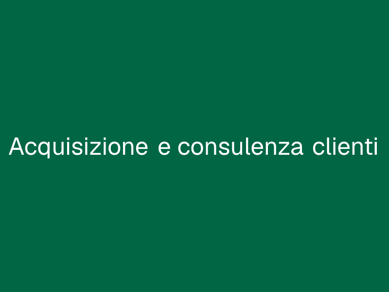 Acquisizione e consulenza clienti