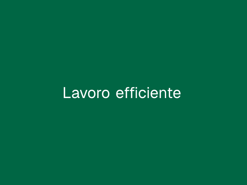 Lavoro efficiente