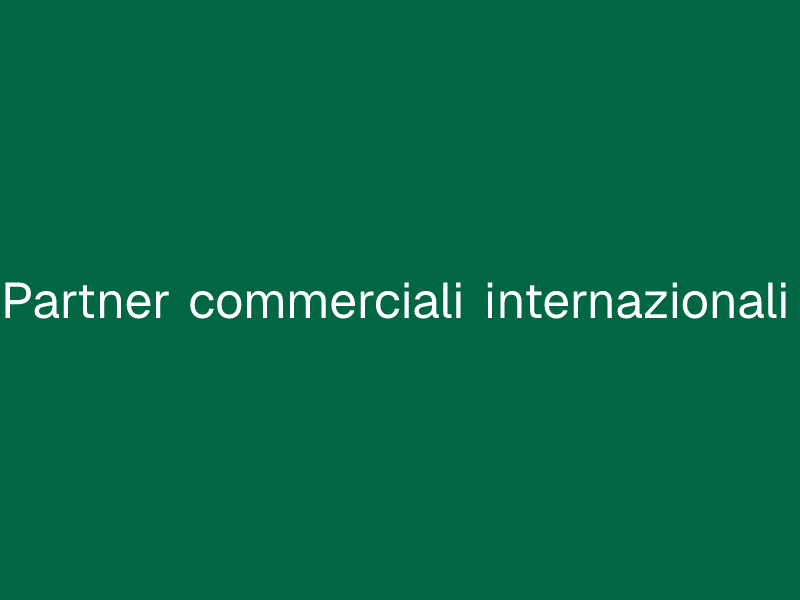 Partner commerciali internazionali