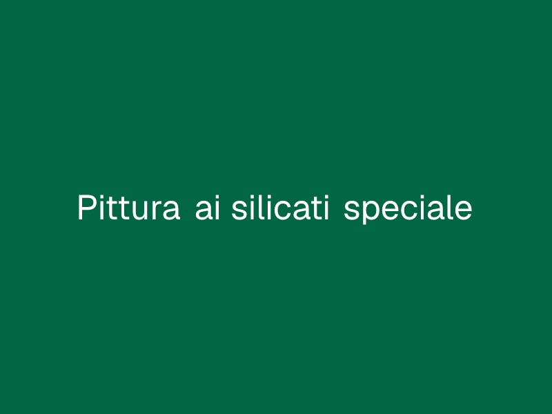 Pittura ai silicati speciale