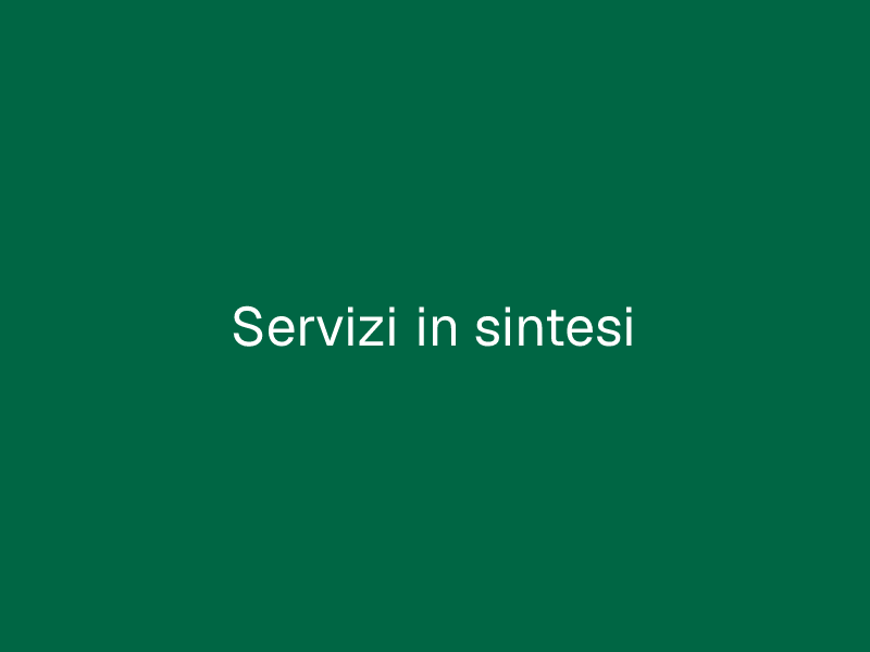 Servizi in sintesi