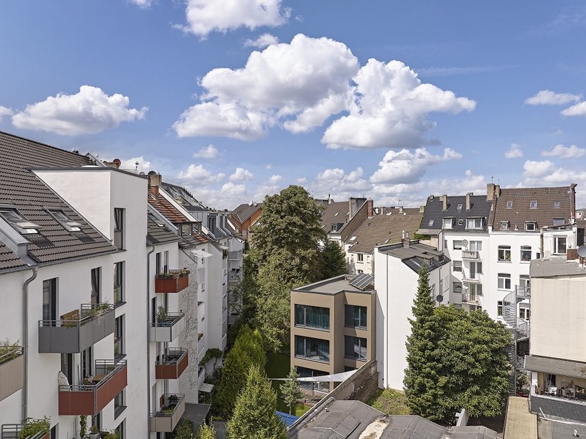 Piccolo terreno, ambiente eterogeneo e alla fine un grande successo