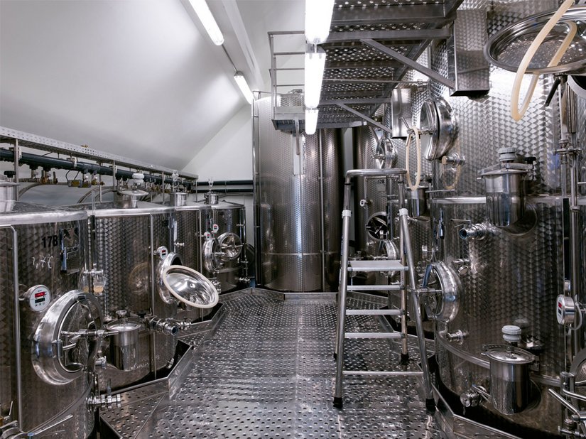 Alla luce del clima rigido, l'azienda vinicola Turnau punta su varietà di viti tedesche particolarmente forti e resistenti al gelo.