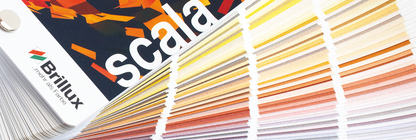 Sistema di progettazione colori Scala