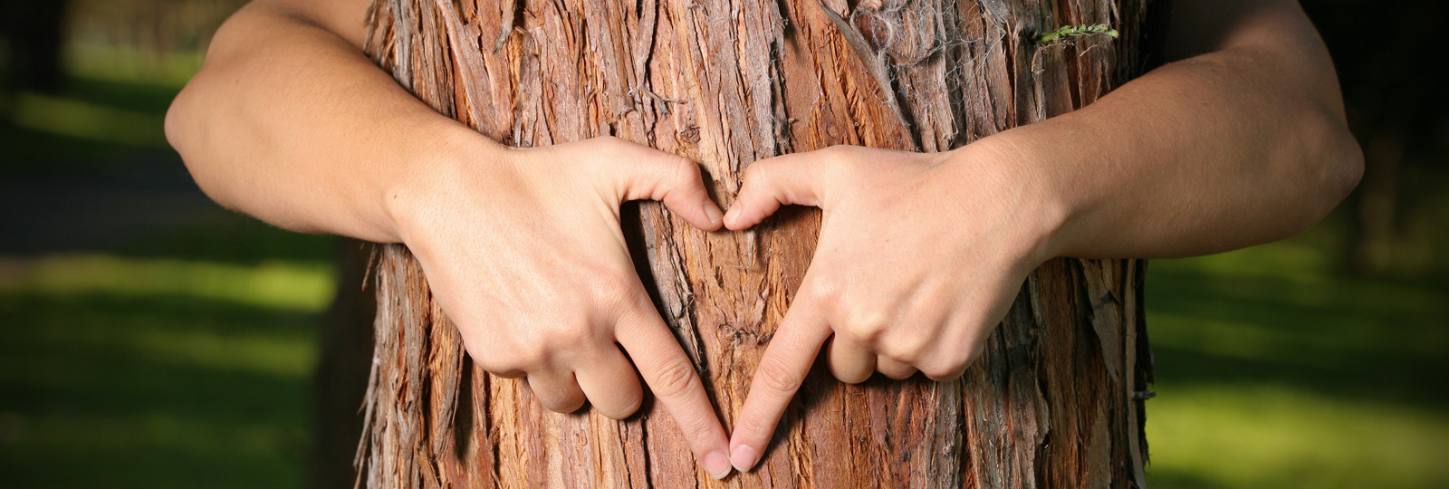 Protezione del legno